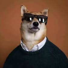 Wahidin Halim avatar